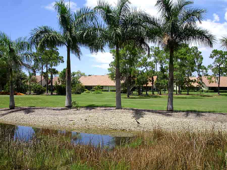 Lely Golf Estates View of Golf Court